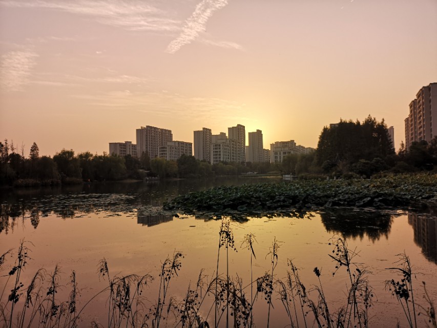 乌镇雅园养老的运营模式,乌镇雅园养老房值得购买吗