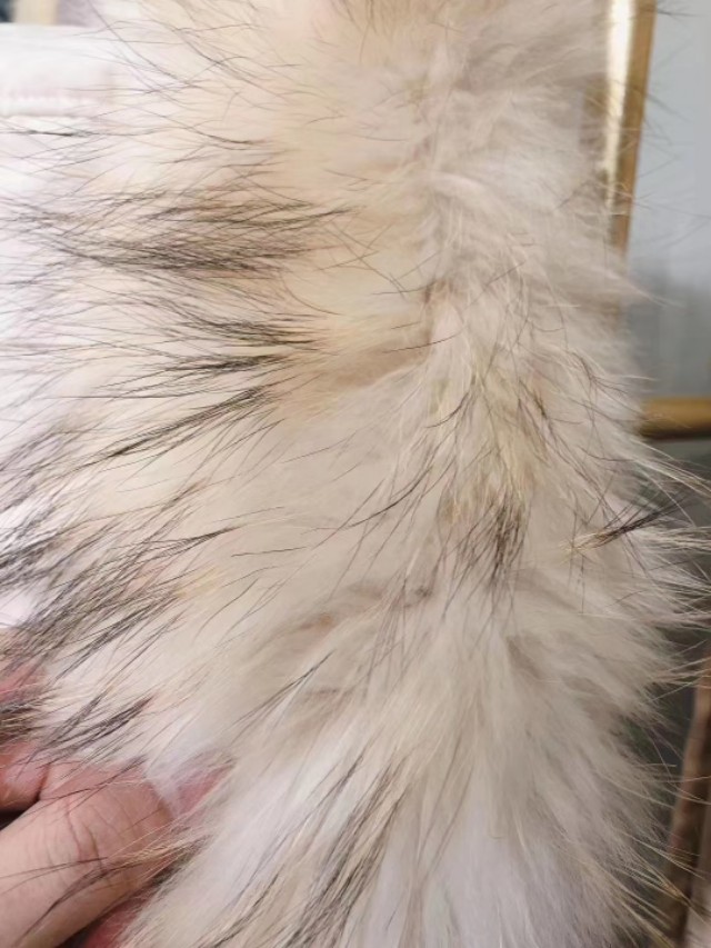 品牌女装尾货批发直播,品牌女装尾货批发300一袋