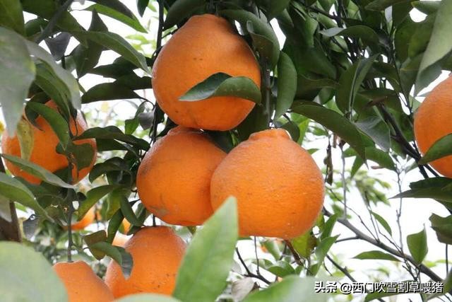 花多少钱才能让一个淘宝店运作起来?答案可能会让你惊喜