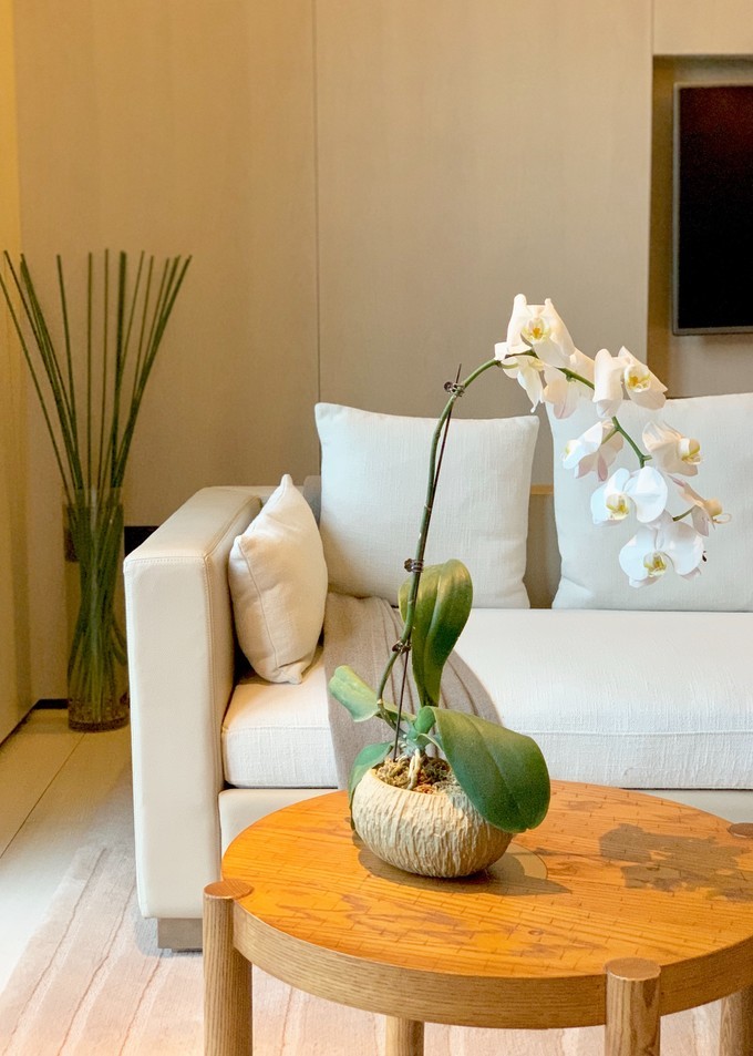 成都旅游太古里酒店推荐,成都太古里十大顶级酒店排名