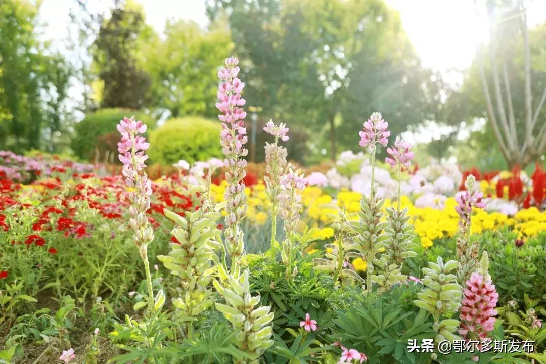 康巴什的十二个时辰,最美的竟是子时,你同意吗?