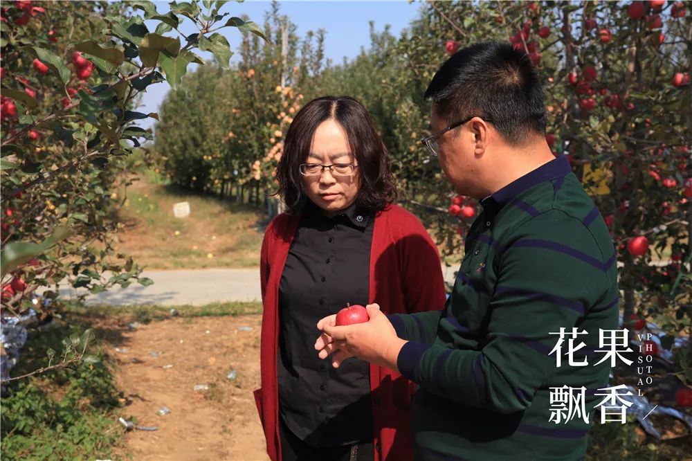 一箱鲜橙多利润,一箱水果利润多少