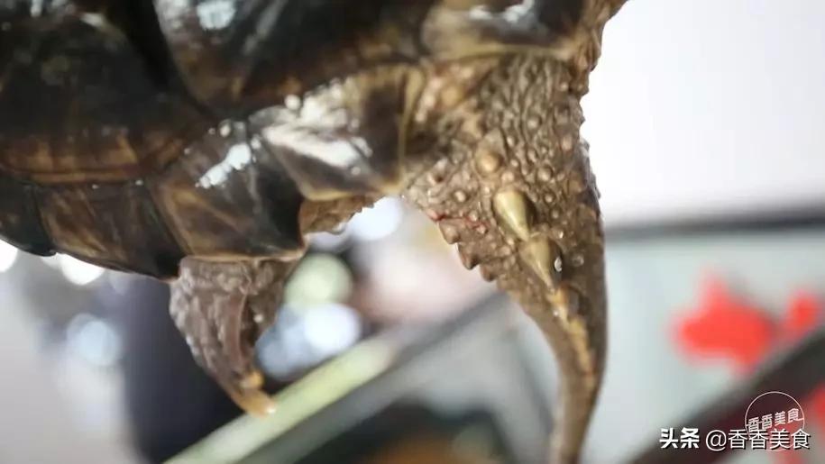 èng菜都吃过，你喝过èng汤吗？