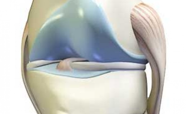 膝关节系列科普膝关节的基本结构,讲解膝关节的组成