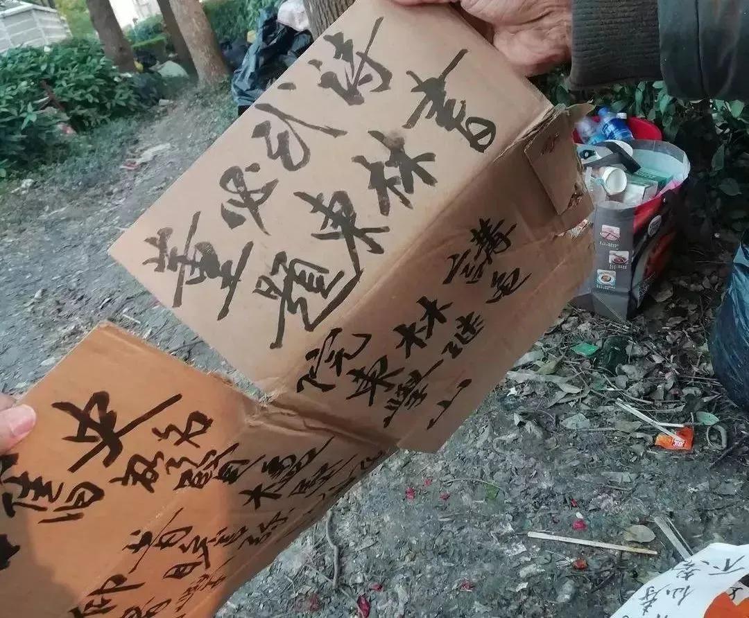 流浪大师沈巍的网红之路,网红大师沈巍事件