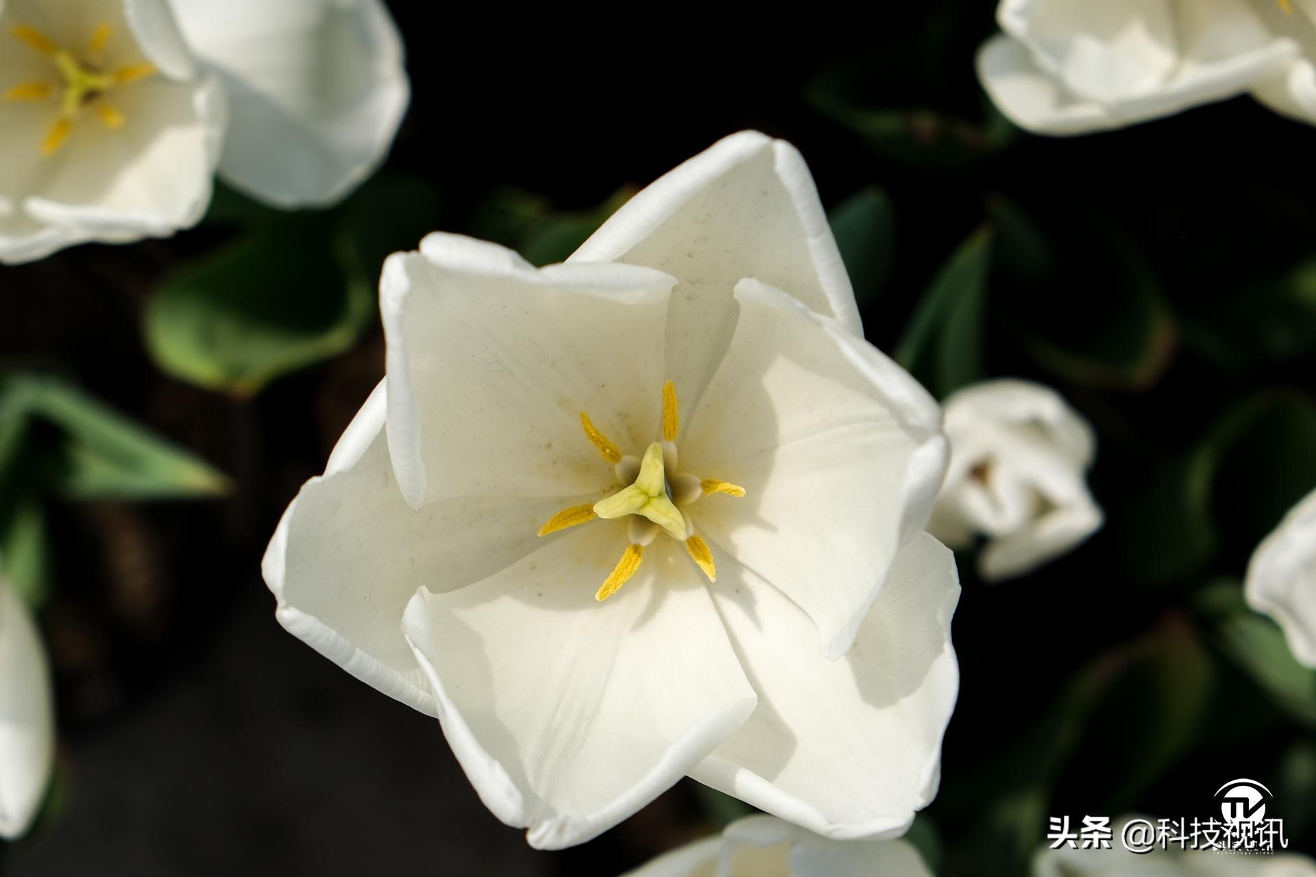 富士X-T30二代评测,富士x-t30开机键在哪儿