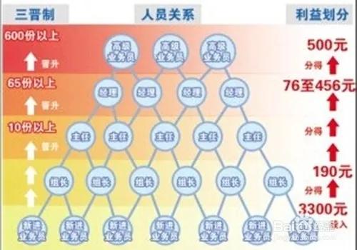 传销真实案例老年人,为什么1040有那么多人被骗