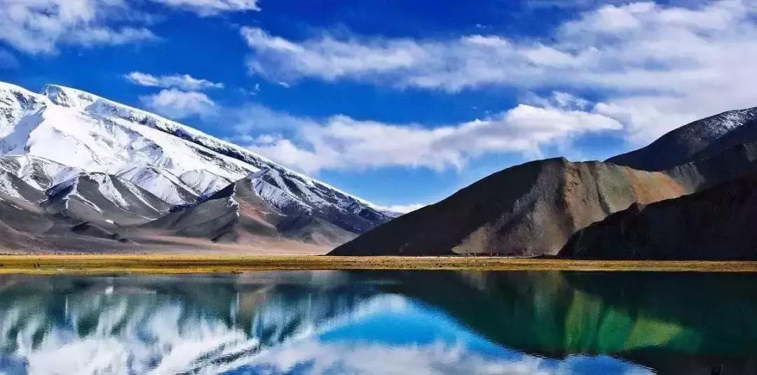 康恩贝有望翻盘吗,康恩贝胡季强事件