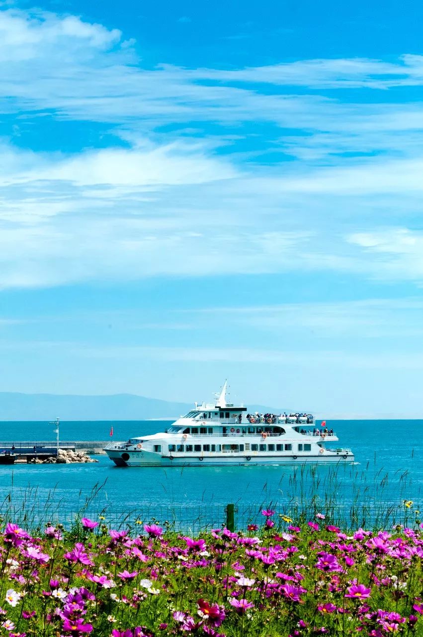 七月的青海湖美翻了,带你了解七月的青海