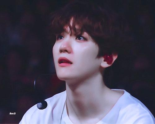 exo十一周年边伯贤loveshot,exo人间理想