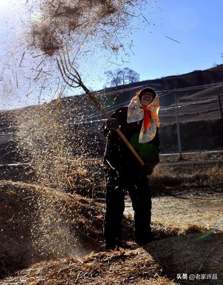 已失传的绝活有哪些,那些快要失传的非遗绝技