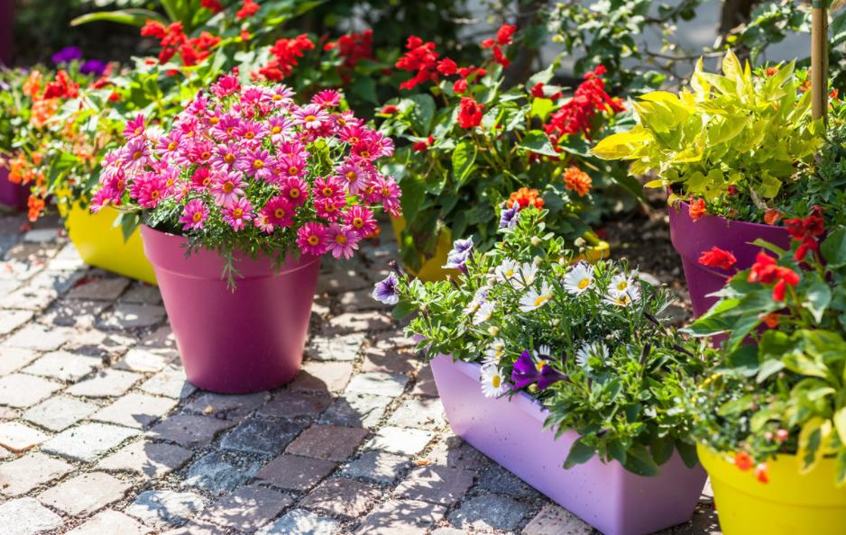 盆栽土太硬挖不动怎么办,盆栽花土板结怎么处理