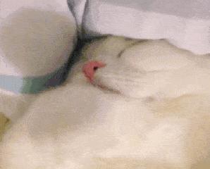 双十一来了这份攻略请收好,双十一必去的十大攻略