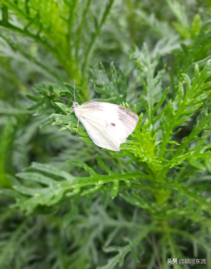 脸皮厚的挣大钱,挣大钱必须要心狠