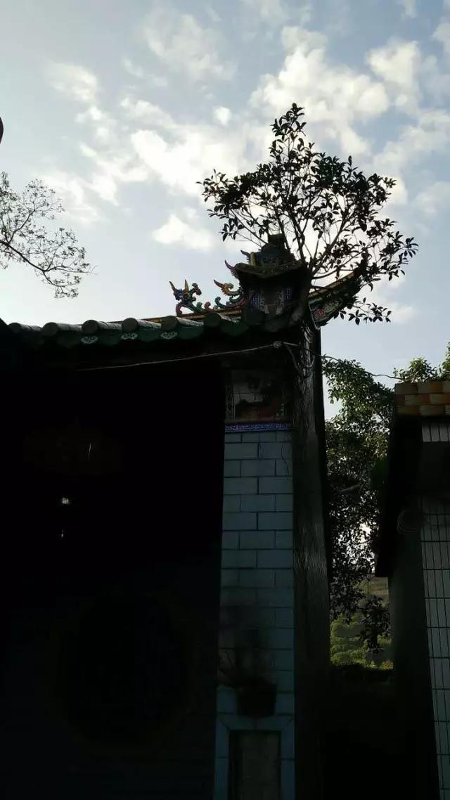 红色乡村简介,红色乡村文旅景区