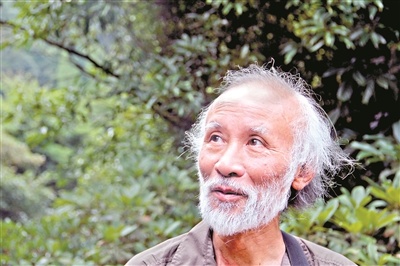 1996年莽山烙铁头蛇,莽山烙铁头被盗事件