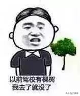 学车的心酸感悟,学车悲惨经历