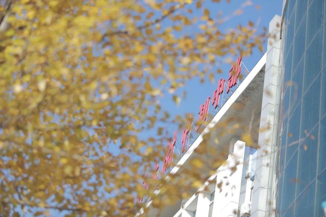 小升初首师大附中难吗,小升初选择贵校的原因