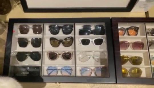 女明星的衣柜图片大全,女明星衣柜效果图