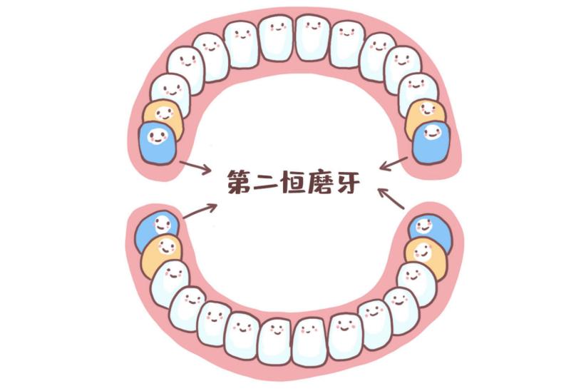 姚晨自曝儿子换牙问题,很多孩子中招!牙齿健康,家长们都要注意