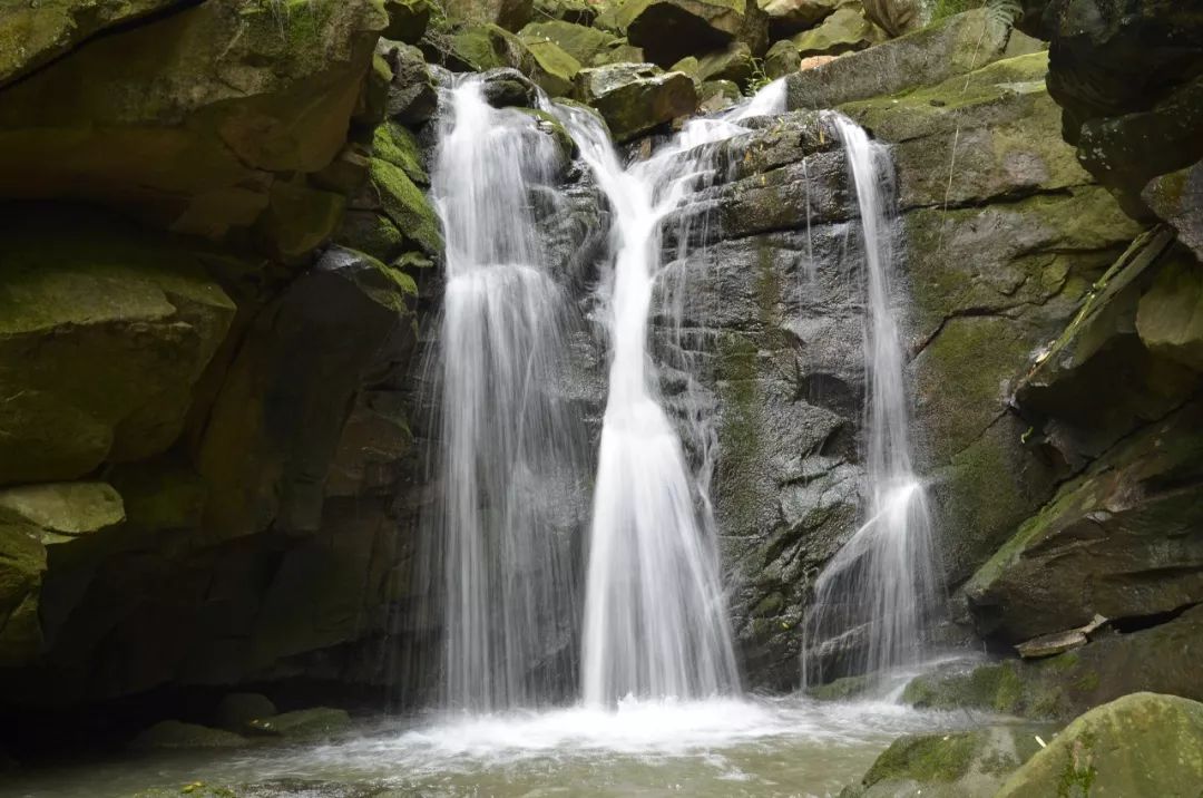 bw滤镜价格,bw滤镜哪里有正品