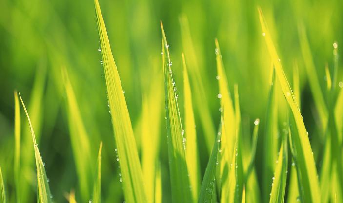 抖音赚钱教程新人必看,抖音新手一个月真的能赚几十万