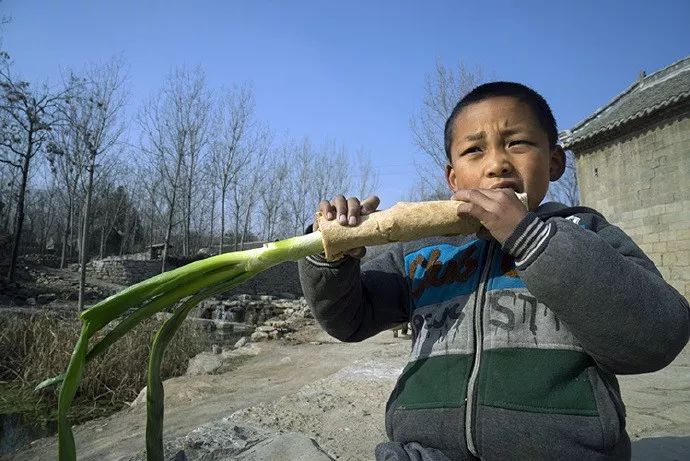 葱是菜还是调料,葱是荤