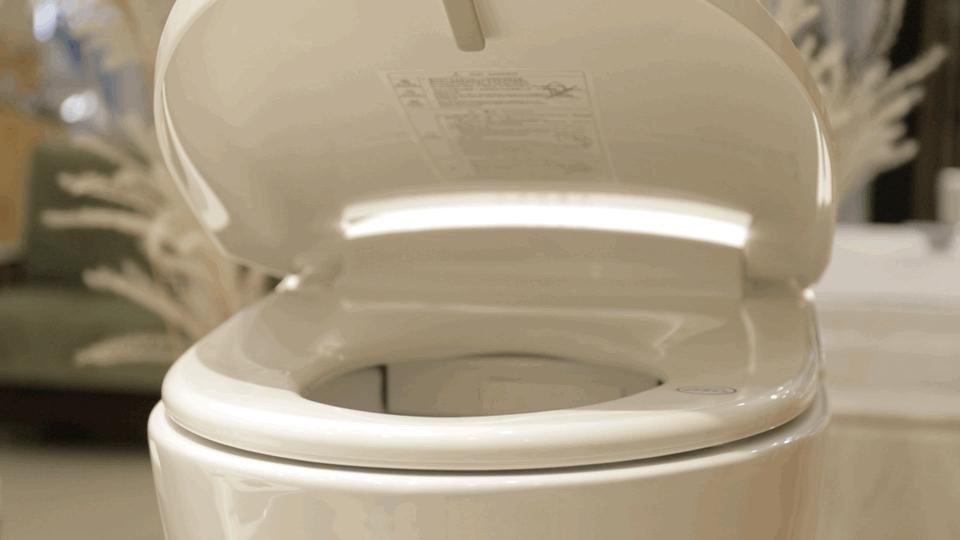 杜菲尼智能马桶db1812b和1812c的区别,杜菲尼智能马桶db1811b