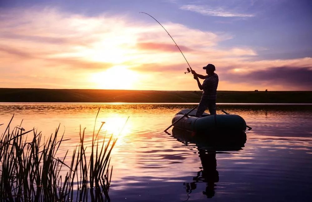 年轻人的新爱好：2亿人次沉迷于“中年男人的快乐”，少有女性