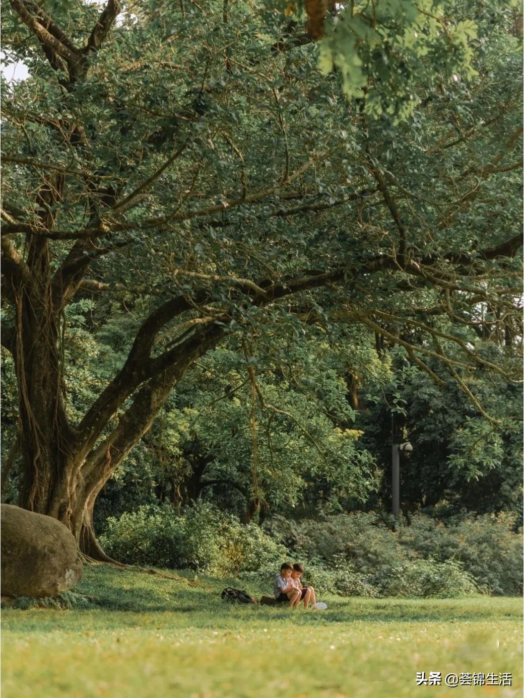 啊？日本传奇品牌酒店实力宠粉，带娃来一场暑期放肆嗨玩