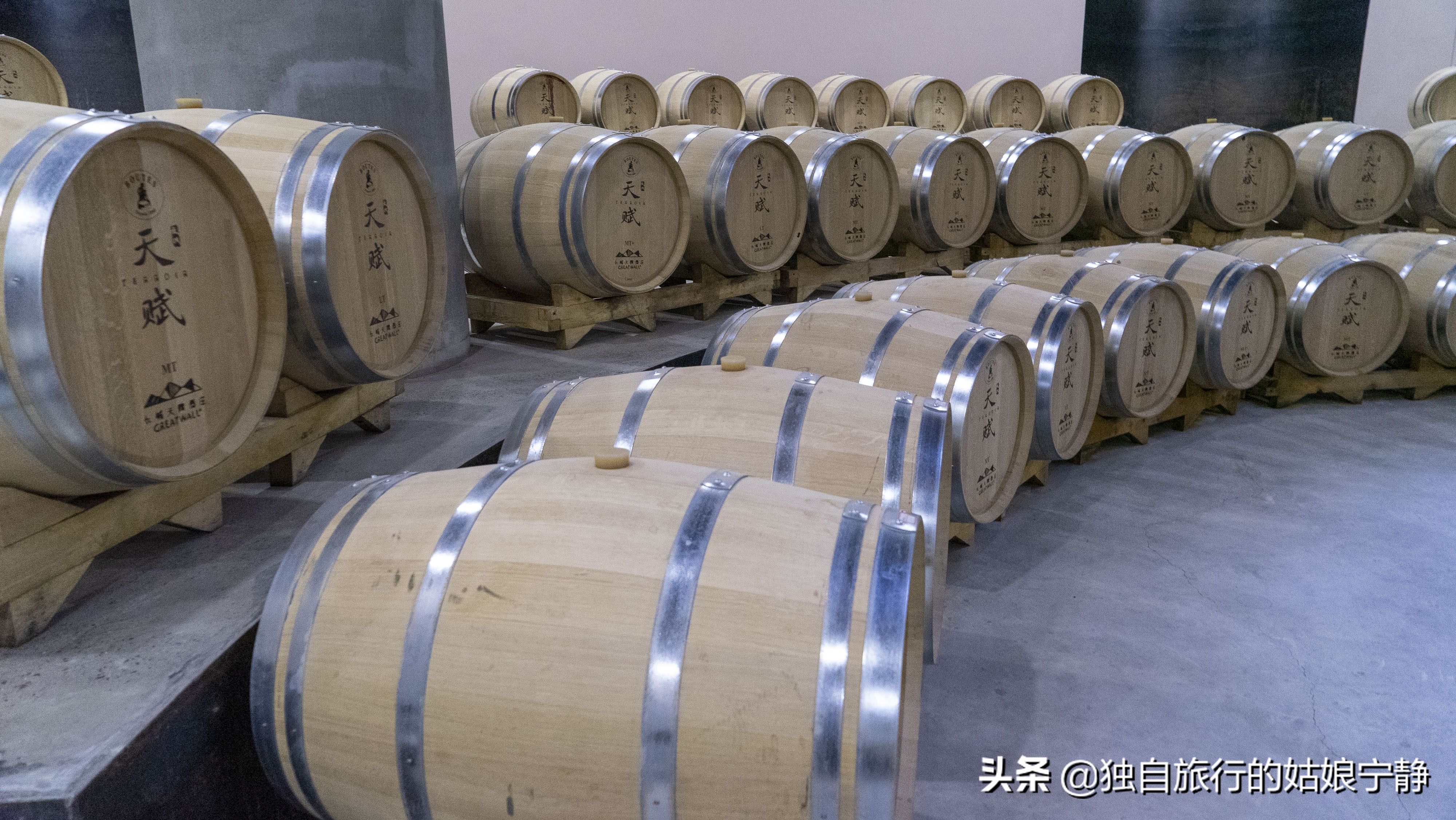 宁夏酒庄参观推荐,宁夏葡萄酒排行榜前十名酒庄