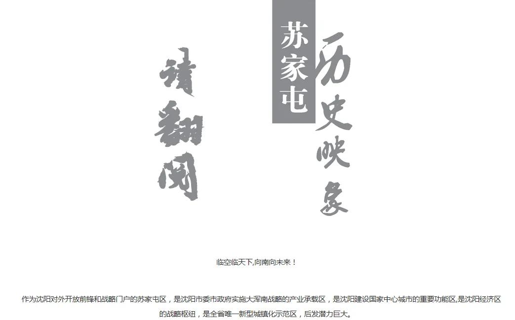 沈阳市大东区第十四个五年计划,沈阳市苏家屯未来5年发展