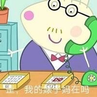 小猪佩奇嘲讽表情包,小猪佩奇骂人的表情包