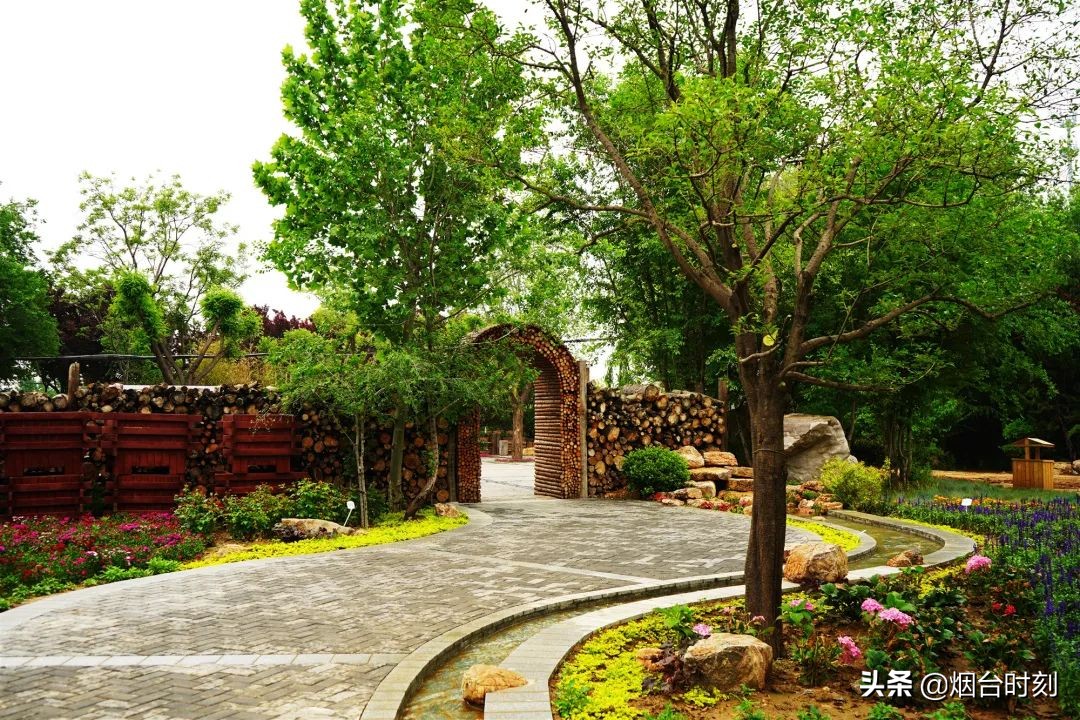 兰州民生工程最新进展,重点民生项目进展清单