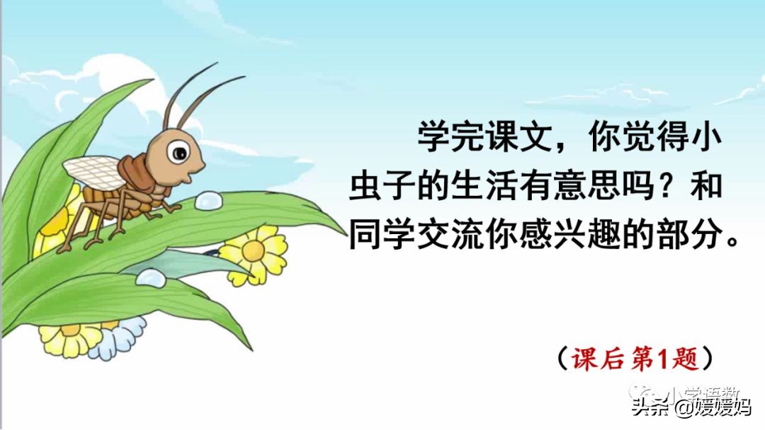 二年级下册我是一只小虫子课后题,二年级下册语文11我是一只小虫子