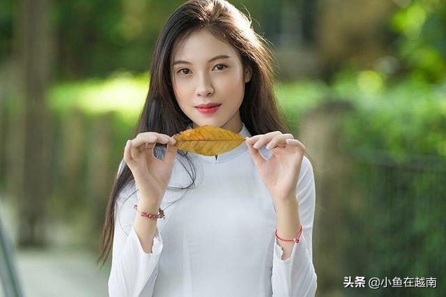 越南的治安怎样视频,越南治安怎么样对华人友好吗