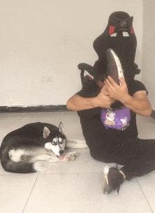 刚从后院挖出来的,大家帮我鉴定一下,我是不是要发财了?