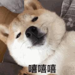 风行购车礼包,风行优惠政策