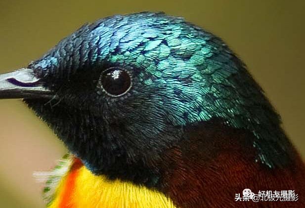 拍的照片没有层次感,拍出的效果没有实物效果