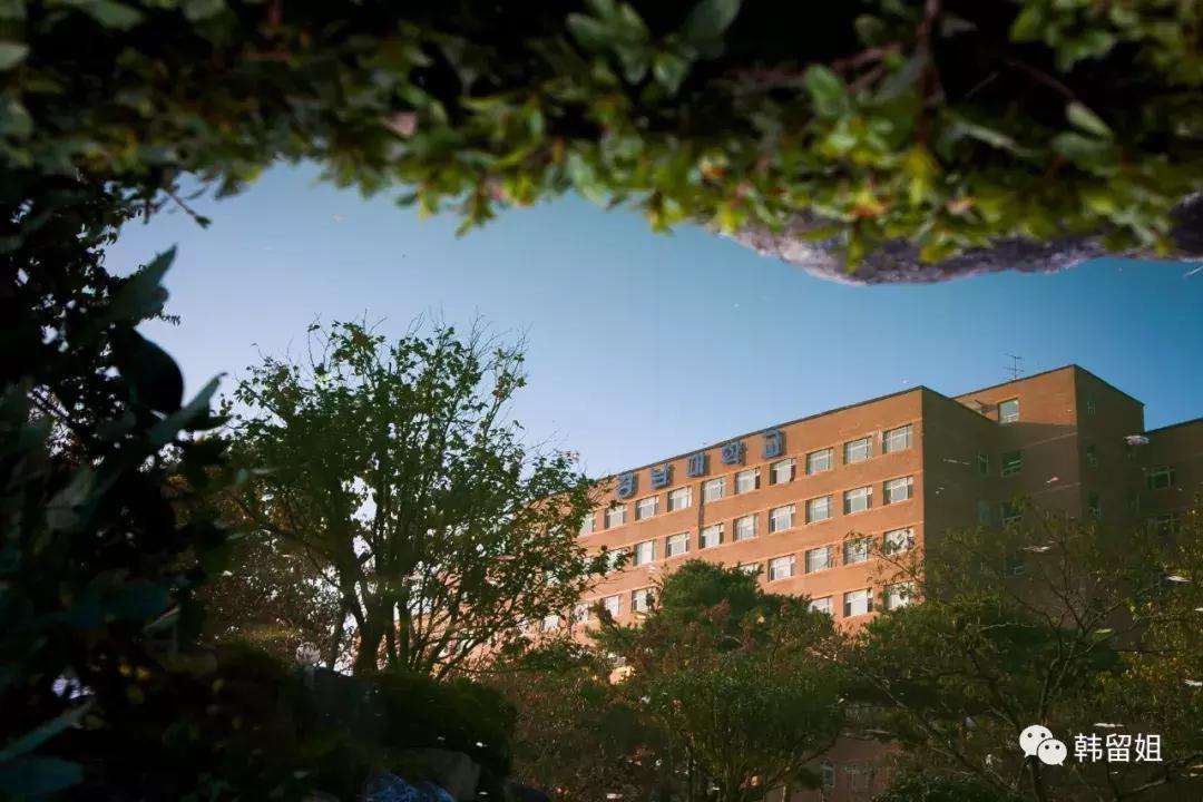 成就自我感知韩国——上海思博学院师生韩国庆南大学游学记