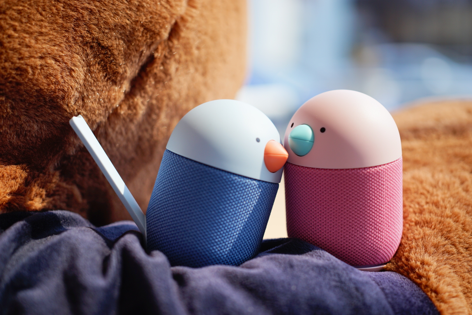 灏忛笩钃濈墮闊崇bird,灏忛笩trackair+璇勬祴