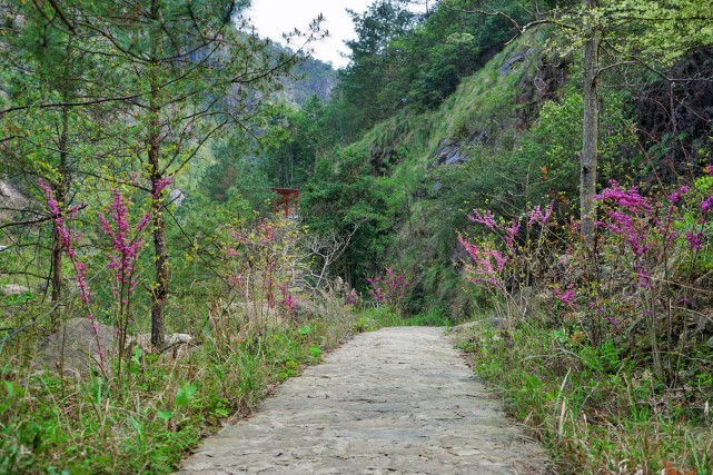 缙云仙都仙气飘飘的旅行胜地,缙云丽水好玩的地方