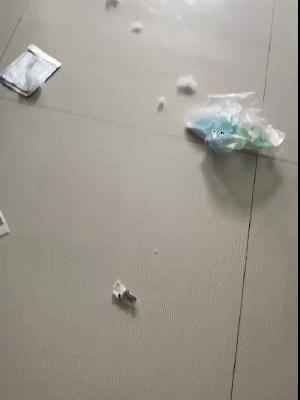 家狗身上痒有脱毛现象怎么办,狗到夏天脱毛特别严重