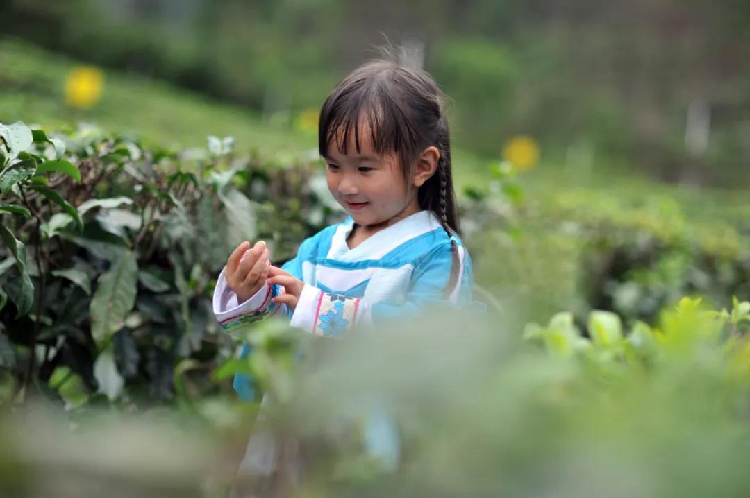 中山风景打卡点,广州秋游野餐好去处
