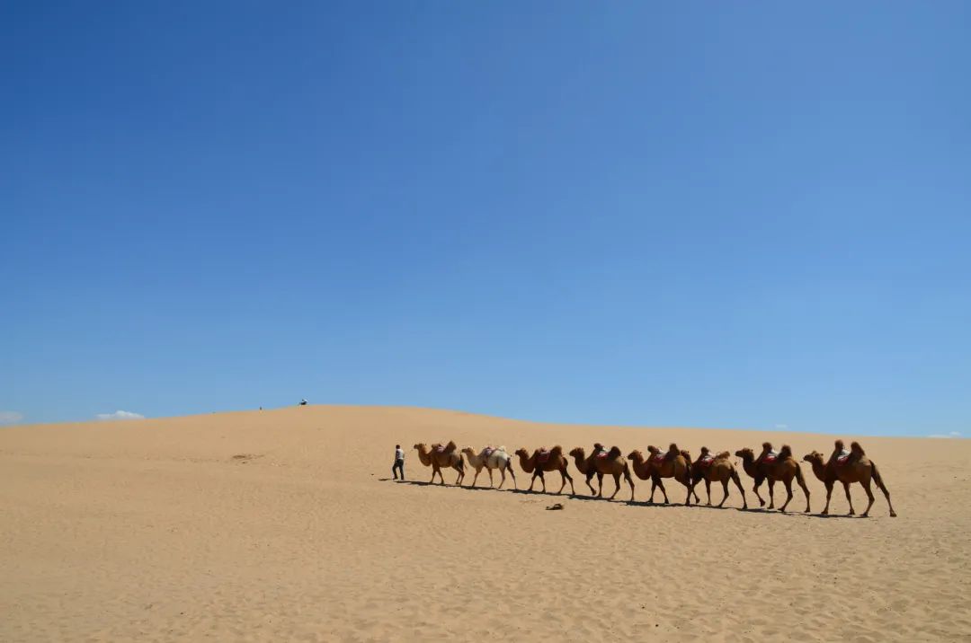 超美!大漠孤烟,湖光山色,走进异域风情的“塞上江南”