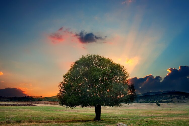 小区业主四资（资产、资源、资金、资料）清查专题