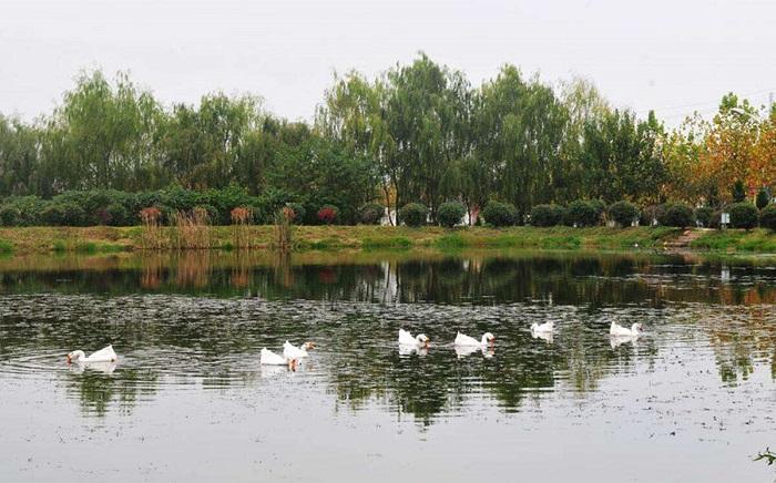 合肥周边亲子主题民宿最佳地点,合肥有哪些室内适合亲子玩的