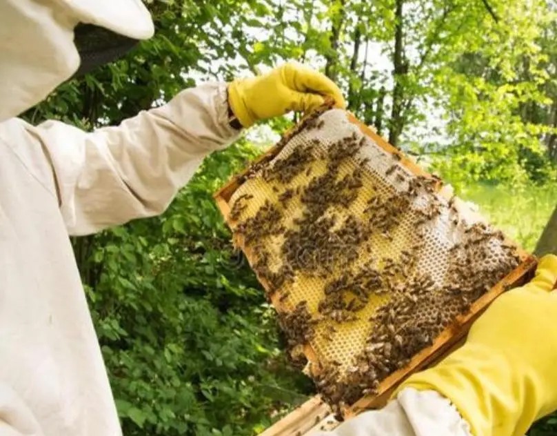 适合穷人的五种养殖创业方式,养殖小项目农村养殖什么比较靠谱