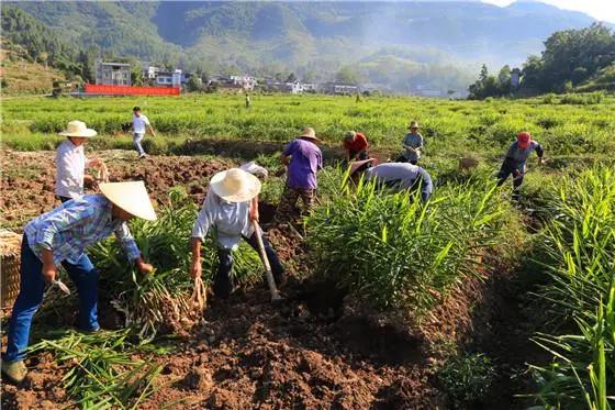一亩田农产品商务平台,2018一亩田农产品b2b电商全景报告