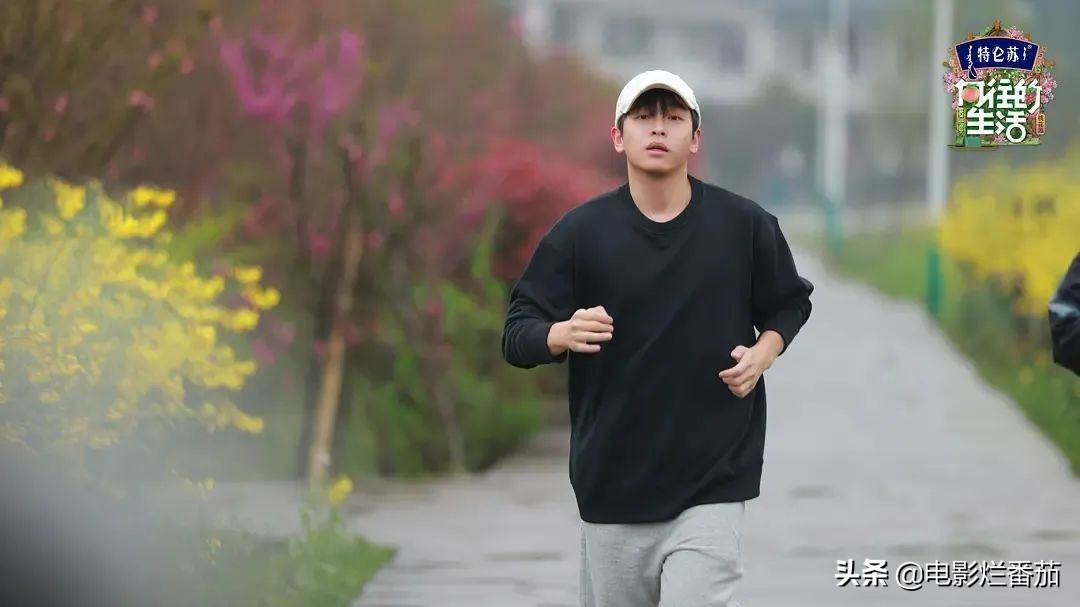 向往的生活收官期待下一季,追完一整部剧为什么越来越困难